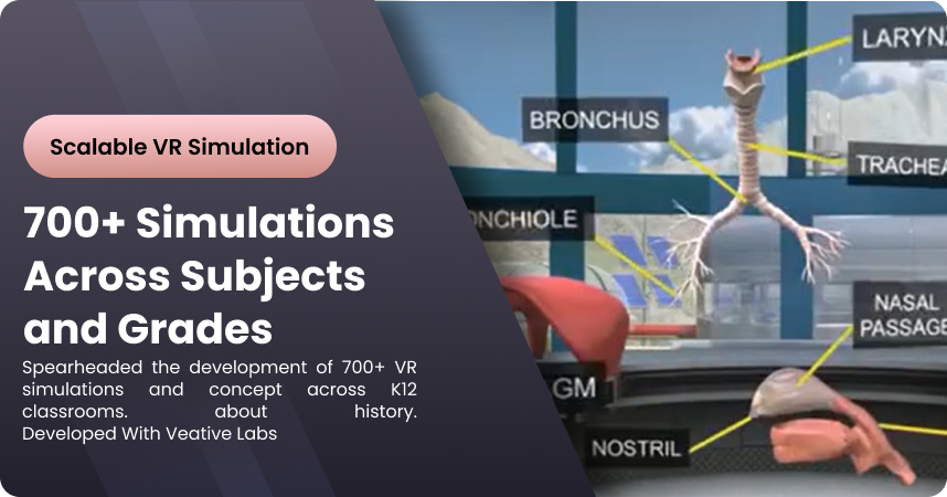 Scalable-VR-Simulation